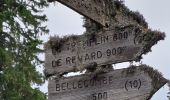 Randonnée Marche Les Déserts - REVARD 07-10-24 - Photo 1