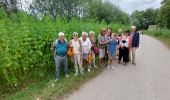 Tocht Stappen Genk - BOKRIJK  - Photo 4