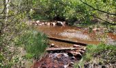 Trail Walking Vielsalm - Ennal 110522 - Photo 2