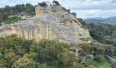 Randonnée Marche Lamanon - Cales - Photo 6