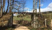 Trail Walking Salvizinet - Salvizinet et vers monorail - Photo 3