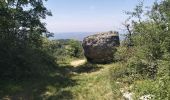 Trail Walking Saint-Genix-les-Villages - 73_gresin_montTournier_18km_630 - Photo 8