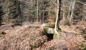 Tocht Te voet Steinfeld - Westwallwanderweg Schaidt - Photo 8