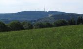 Tour Zu Fuß Herscheid - Linde Rundweg A4 - Photo 1