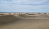 Excursión Senderismo San Bartolomé de Tirajana - Les dunes de Maspalomas (Gran Canaria) - Photo 5