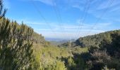 Tour Wandern La Roque-d'Anthéron - PF-La-Roque-d'Anthéron - La Chaîne des Côtes - Reco - Photo 9