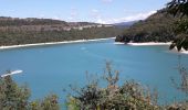 Excursión Senderismo La Tour-du-Meix - Pont de la Pyle -plage de Bellecin  - Photo 3