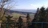 Percorso Mountainbike Saint-Dié-des-Vosges - vtt la voivre La Bure 29-03-19 - Photo 7