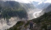 Randonnée Marche Chamonix-Mont-Blanc - MASSIF DU MONT BLANC: TRAVERSEE PLAN DE L'AIGUILLE - MONTENVERS - Photo 5