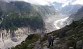 Excursión Senderismo Chamonix-Mont-Blanc - MASSIF DU MONT BLANC: TRAVERSEE PLAN DE L'AIGUILLE - MONTENVERS - Photo 5