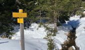 Trail Walking Pont de Montvert - Sud Mont Lozère - Le Pic Cassini - Photo 2