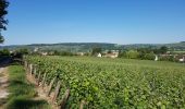 Tour Wandern Nesles-la-Montagne - Nesles la Montagne du 02/06/2020 - Photo 3