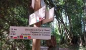 Trail Walking Pontarlier - FORT MALHER DEPUIS LE CAMPING DU LARMONT - Photo 10
