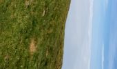 Trail Walking Beaucens - soum de mont - Photo 2