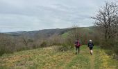 Excursión Marcha nórdica Vianden - Gr5 E2 de  Vianden à Dasbourg Pont - Photo 6