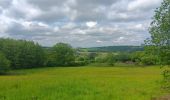 Trail Walking Theux - lareid . vertbuisson . haut marais . fraineux . la reid  - Photo 17