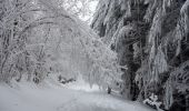 Randonnée Raquettes à neige Saint-François-de-Sales - Les-Creusates-2021-01-04 - Photo 1