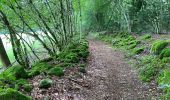 Excursión Senderismo Bort-les-Orgues - Les Orgues  - Photo 1