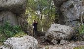 Excursión Senderismo Berrias-et-Casteljau - Chassezac cirque du Casteljau - Photo 13