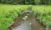 Tocht Stappen Houffalize - Engreux 080625 - Photo 13
