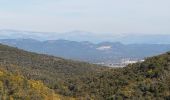 Percorso Marcia Roquebrune-sur-Argens - ROQUEBRUNE SUR ARGENS - A L'OUEST DE LA FLUTE - Photo 15