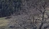 Trail Walking Barre-des-Cévennes - Cam noire - Photo 6