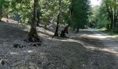 Tocht Stappen Combiers - Rando de Combiers à Larochebeaucourt par chez Maurice - Photo 9