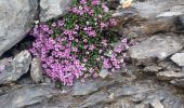 Trail Walking Allos - ALLOS. LAC D ALLOS. COL DE LACAYOLE .O - Photo 9