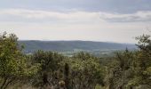 Tocht Stappen Val-Revermont - Cuisiat, Pouillat, Nivigne, Rosy, col des justices - Photo 2