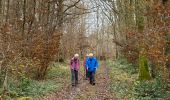 Trail Walking Marche-en-Famenne - Humain - Photo 3