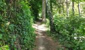 Trail Walking Incourt - Sart Risbart (Incourt) - Photo 4