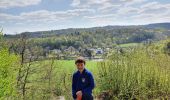 Trail Walking Esneux - Evieux, Ham, Beaumont - Photo 14