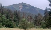 Tocht Stappen Le Vernet - LE VERNET . COL DU MAL D HIVER . COL DU LABOURET . O L M  - Photo 4