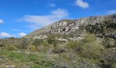 Trail Walking Caussols - De Caussols vers le sommet et le plateau de Calern - Photo 2