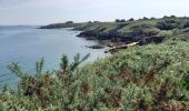 Tocht Stappen Île-d'Houat - île d'ouat - Photo 14