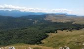 Trail Walking Bouvante - Serre de Montué - Photo 2