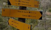 Trail Walking Colmars - Colmar  - Photo 6