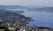 Tour Zu Fuß Einsiedeln - Egg - Büel - Photo 1