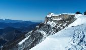 Tour Schneeschuhwandern Saint-Agnan-en-Vercors - plateau de beure - Photo 1