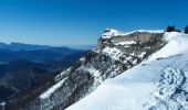 Tocht Sneeuwschoenen Saint-Agnan-en-Vercors - plateau de beure - Photo 1