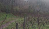 Randonnée Marche Montigny-lès-Arsures - Montigny les Arsures - Photo 19