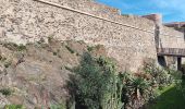 Trail Walking Argelès-sur-Mer - racou - collioure - racou / en boucle - Photo 17