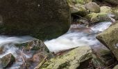 Tour Zu Fuß Ilsenburg - Ilsenburg - Plessenburg - Darlingerode - Photo 1