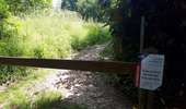 Randonnée Marche Magny-les-Hameaux - bois des roches - Photo 1