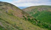 Tocht Te voet North Devon - Butterfly Walk - Photo 4