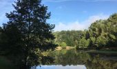 Randonnée Marche Néant-sur-Yvel - Autour des étangs à partir du gîte de tante Phonsine - Photo 2