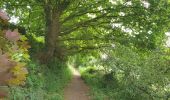 Tocht Elektrische fiets Ronse - Renaix - chemins vers la Cruche - Photo 5