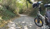 Trail Electric bike Ronse - Renaix - Mont de l'Enclus - Wittentak - Photo 15