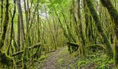 Tocht Stappen Écrille - Quelque part dans le Jura 🥾 - Photo 2