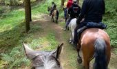 Trail Horseback riding Bastogne - Tripoux 2023 j2 - Photo 2